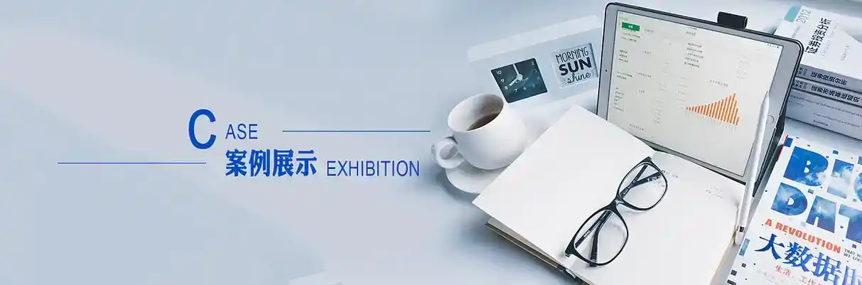 保靖县软件开发